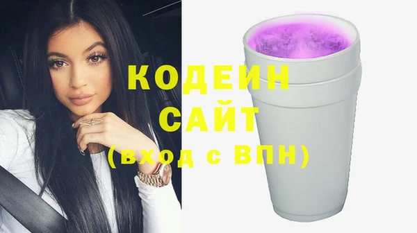 эйфоретик Гусев