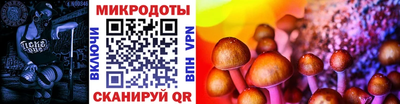 Купить где Балашов Псилоцибиновые грибы прущие грибы